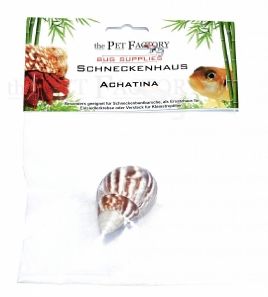 Schneckenhaus
